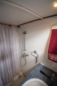 a bathroom with a shower with a toilet and a sink at Vedette Hollandaise de 13 m pour séjour insolite in Nivillac