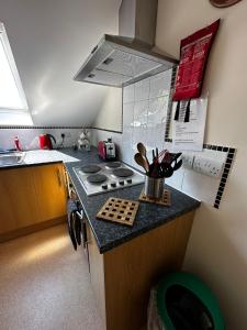 a kitchen with a stove and a counter top at Holly Hill Apartments in Southampton