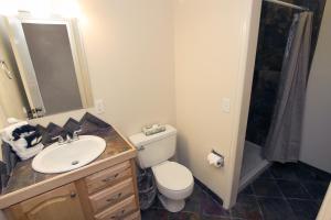 een badkamer met toilet, wastafel en douche bij Fawn Valley Inn- 304 condo in Estes Park