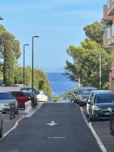 Príroda v okolí apartmánu