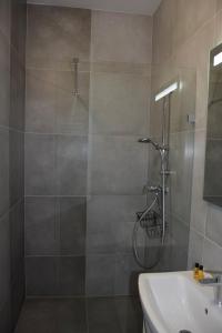 a bathroom with a shower and a sink at Villa Victoria in Warsaw