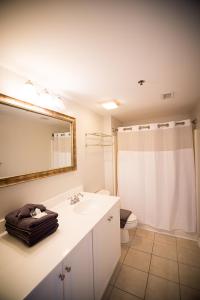 a bathroom with a sink and a mirror and a toilet at Water Street Retreat 12 in Wilmington