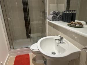 a bathroom with a toilet and a sink and a shower at Modern, Large Independent Room with En-suite Bathroom in Private Owned Apartment in London