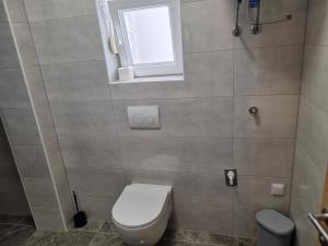 a bathroom with a toilet and a window at Apartmani Dalmatinka in Metajna