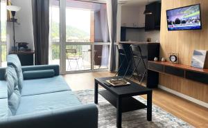TV a/nebo společenská místnost v ubytování Sinaia Walter 20 Penthouse w. Private Parking