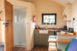a small kitchen with green cabinets and a sink at The Shepherds Rests Luxury Glamping, Carnlough in Carnlough