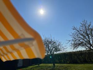 a view of the sun and a tree in a field at Austernfischer in Oevenum