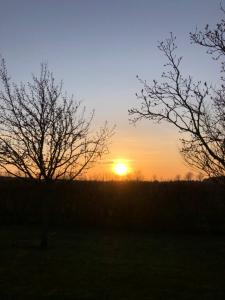 a sunset in a field with trees in the foreground at Austernfischer in Oevenum