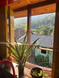 uma janela com um vaso de plantas e vista para uma montanha em chalé completo na fazenda em Bocaina de Minas