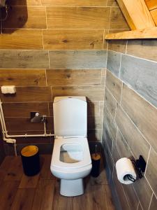 een badkamer met een toilet in een houten muur bij Nomad Lodge Zminica in Žabljak