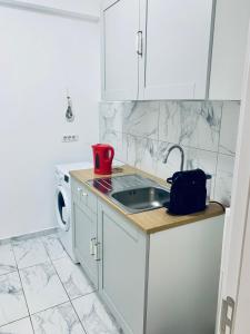 - une cuisine blanche avec un évier et un lave-linge dans l'établissement Apart Studio Maria - Parcare Privata, à Bucarest