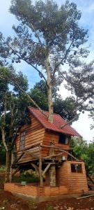 uma pequena casa com uma árvore em cima em Mộc Hương farmstay 