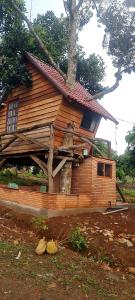 uma casa de madeira com uma árvore em frente em Mộc Hương farmstay 