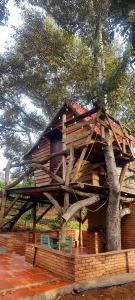 uma casa na árvore de madeira com duas cadeiras em frente em Mộc Hương farmstay 