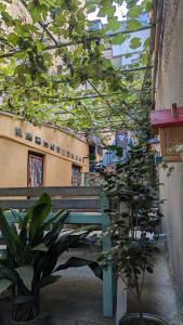 Zahrada ubytování Guesthouse Kartli + 15 fotografií