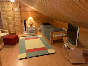 ein Schlafzimmer mit einem Bett und einem TV in einem Zimmer in der Unterkunft Saunaharju 5 järven rannalla in Kolinkylä