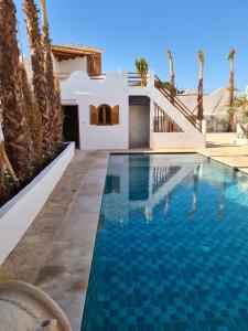 a swimming pool in front of a house with cactus at La Maison des Vagues in Sidi Kaouki