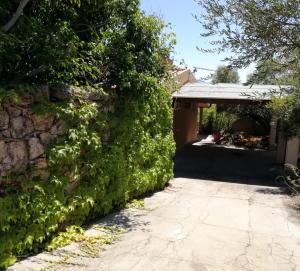 a large green hedge next to a driveway at Benjamin Room in Olbia +8 photos
