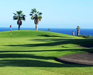 a view of a golf course with palm trees at Oceanfront 2 bedrooms Holiday Home in Tenerife South in San Miguel de Abona
