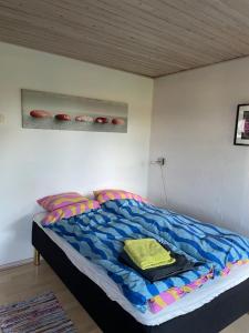 DybvadPedersholt Bed & Breakfast的卧室内的一张蓝色棉被