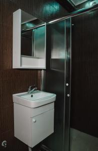 a bathroom with a sink and a mirror and a shower at Green Apartments Prishtina in Pristina