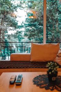 eine Couch vor einem großen Fenster in der Unterkunft Green Apartments Prishtina in Pristina