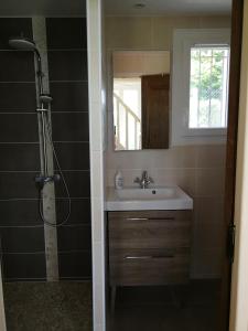 uma casa de banho com um lavatório e um chuveiro com um espelho. em AU BON CAUCHOIS em Anglesqueville-lʼ Esneval