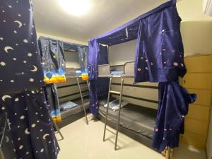 um quarto com beliches com cortinas roxas em 康莊背包旅宿 上下舖背包床位4人&6人房&雙人床房-14人包棟-預訂請來電確認 em Ch'ing-tao-ts'un