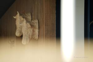 a pair of towels hanging on a wooden wall at Gîte Altitude 399 à Trois-Ponts in Basse-Bodeux +22 photos