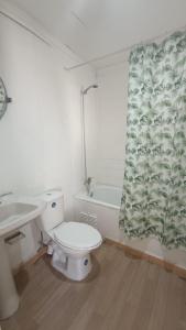 a bathroom with a toilet and a shower curtain at Residencial familiar El Valle in Copiapó