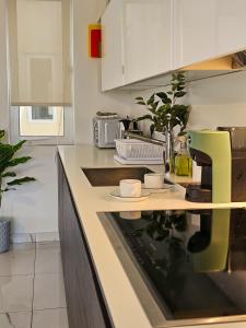 a kitchen with a counter with a sink and a microwave at MIVE Luxury Sea View Penthouse in Il-Gżira