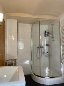 a bathroom with a shower and a sink at Gästehaus Linden in Linden