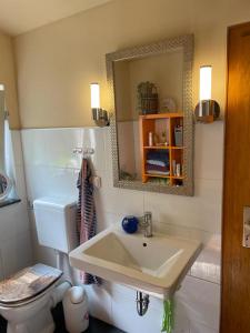 a bathroom with a sink and a toilet and a mirror at Gästehaus Linden in Linden