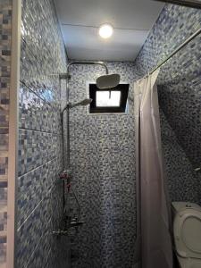 a small bathroom with a shower and a toilet at Cabin 32 in Kazbegi +9 photos
