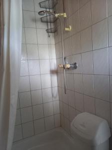 Koupelna v ubytování Szilva Apartman