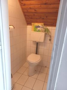 Koupelna v ubytování Szilva Apartman