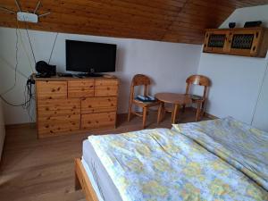 TV a/nebo společenská místnost v ubytování Szilva Apartman