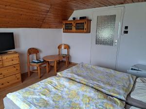 TV a/nebo společenská místnost v ubytování Szilva Apartman