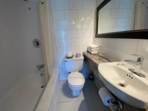 a bathroom with a toilet and a sink at Motel Panoramique in Saguenay