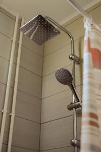 a shower with a shower head in a bathroom at Gruzanski horizonti std1 in Knić