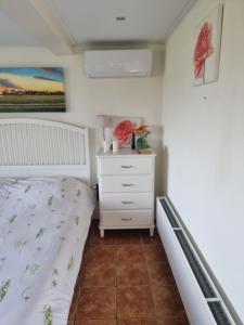 een kleine slaapkamer met een bed en een dressoir bij De Veldeling in Hollandscheveld