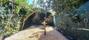 un jardín con un pequeño árbol en un patio en L&L Sur en Mar del Plata