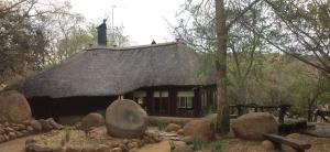una pequeña casa con techo de paja en el bosque en Kameelkop Nature Reserve Lodge & Chalets, en Wasbank