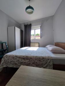 1 dormitorio con 2 camas y ventana en Apartment Petrovic, en Pirovac