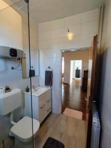 y baño con aseo, lavabo y espejo. en Apartment Petrovic, en Pirovac