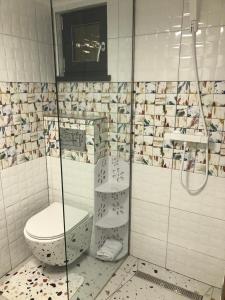 La salle de bains est pourvue de toilettes et d'une douche. dans l'établissement Mini căsuța cu șemineu Moieciu, à Moieciu de Jos