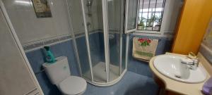 a bathroom with a shower and a toilet and a sink at Villa Mercedes in Luarca +12 photos