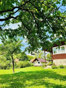 une maison dans un champ verdoyant avec un arbre dans l'établissement Sadyba na Luzi, à Verkhne-Studënyy