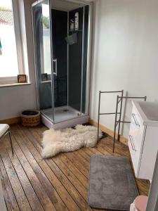 uma casa de banho com um chuveiro e um tapete no chão em Au 81 em Liège