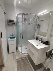 een badkamer met een douche en een witte wastafel bij Coquet 2 pièces entièrement rénové et climatisé in Cannes